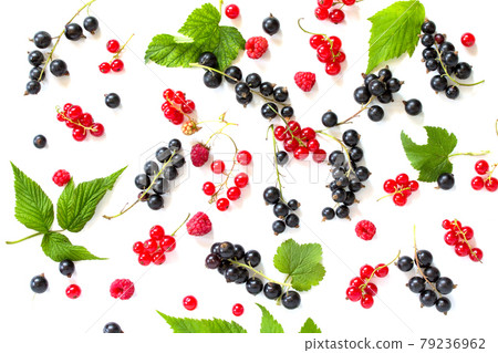 Berries of raspberries, black and red currants isolated on white background. Still life, diet and nutrition concept. Flat lay. Top view. 79236962