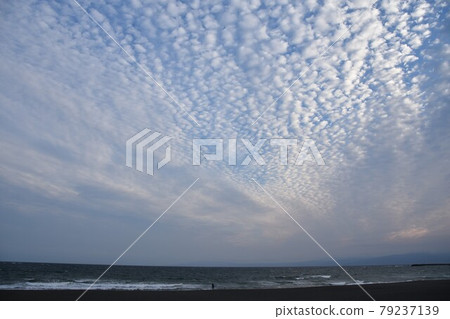 茅崎海岸在黃昏 79237139