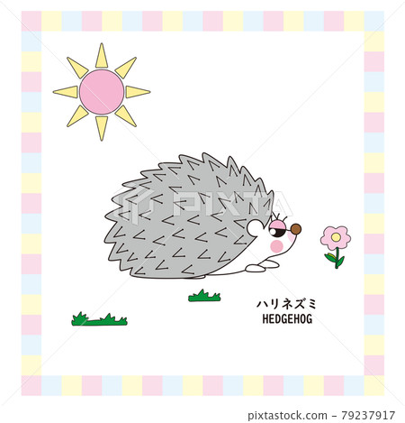 Cute animal series hedgehog Cute animal series hedgehog 79237917