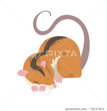 Field Mouse as Small Rodent with Long Tail and Dorsal Black Stripe Vector Illustration 79237922