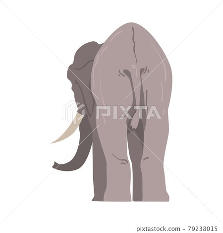 Standing Elephant as Large African Animal with... - Stock Illustration  [79238015] - PIXTA