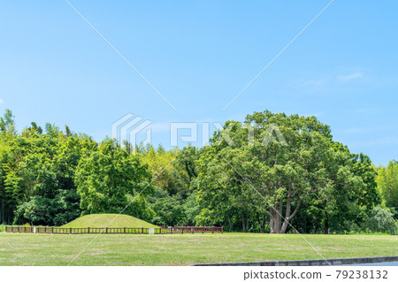 福岡縣絲島市平原石市 福岡縣絲島市平原石市 79238132