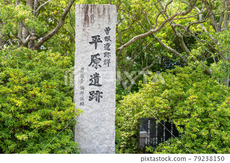 Hirabaruiseki, Itoshima City, Fukuoka Prefecture Hirabaruiseki, Itoshima City, Fukuoka Prefecture 79238150