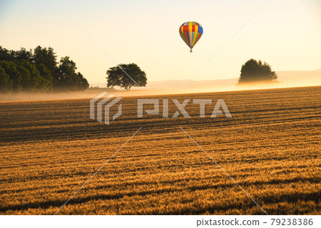 A hill town - Biei scenery in Biei 79238386