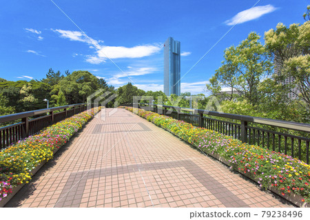 這個城市的綠洲 79238496