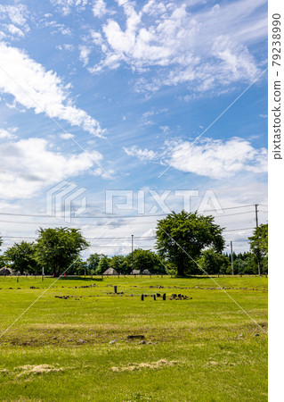 Ooyu ring stone 79238990