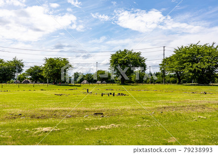 Ooyu ring stone 79238993