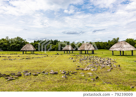 Ooyu ring stone Ooyu ring stone 79239009