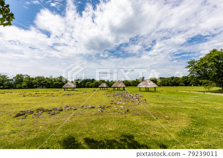 Ooyu ring stone 79239011