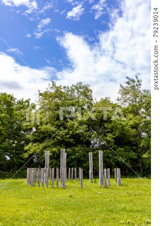 Ooyu ring stone Ooyu ring stone 79239014