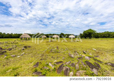 Ooyu ring stone 79239016