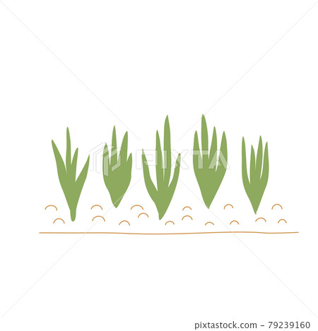 Sprouts in the garden, an element of gardening. Cute vector illustration. Sprouts in the garden, an element of gardening. Cute vector illustration. 79239160