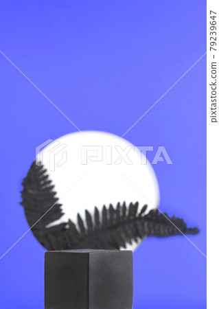 Black podium for product demonstration on blue background with round hole from which black fern leaves grow. Black podium for product demonstration on blue background with round hole from which black fern leaves grow. 79239647