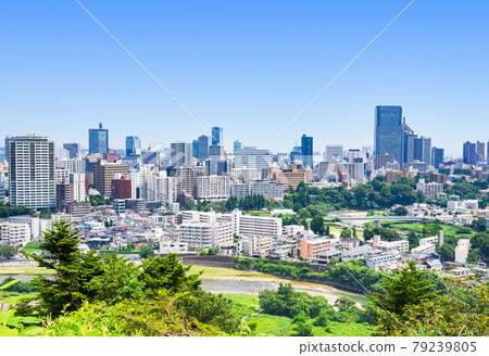 Sendai Hirose River and city center Sendai Hirose River and city center 79239805