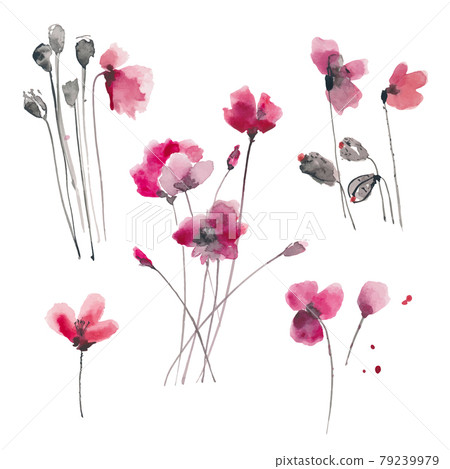 Hand drawn ink and watercolor vector illustration: red poppies flowers and buds on white background 79239979