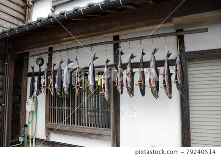 懸浮鮭魚 懸浮鮭魚 79240514