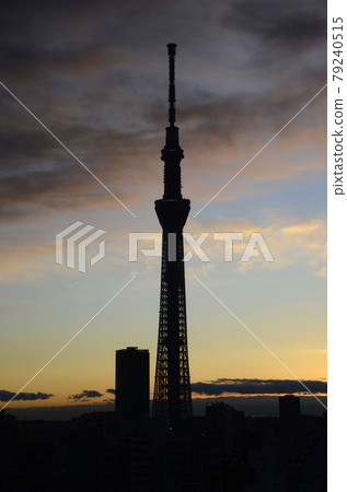天空樹在黎明 天空樹在黎明 79240515