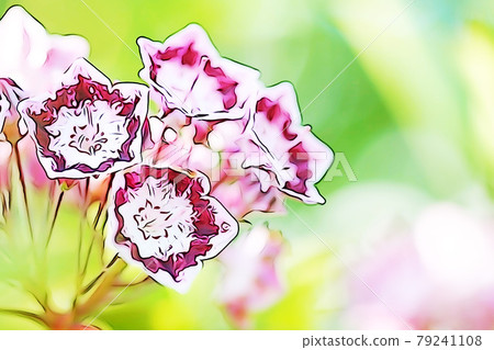 Pastel style "Kalmia flower" illustration image 79241108