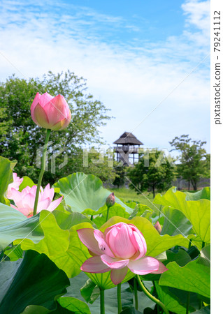 佐賀縣神崎郡男鹿蓮和吉野裡遺址 79241112