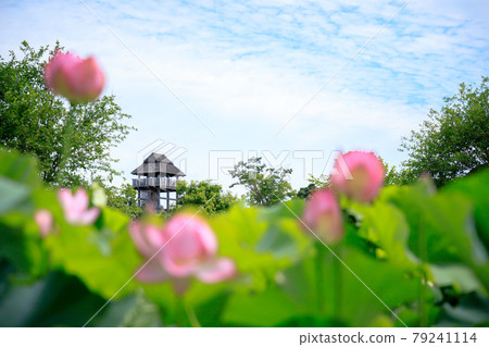 佐賀縣神崎郡男鹿蓮和吉野裡遺址 佐賀縣神崎郡男鹿蓮和吉野裡遺址 79241114