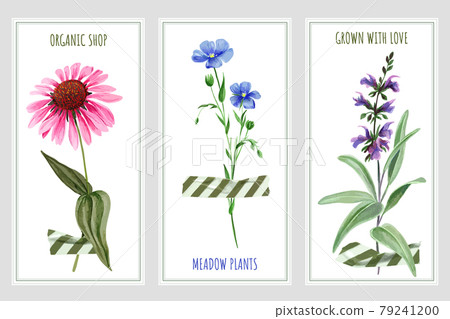 Three vertical banners with wild flowers and tape 79241200