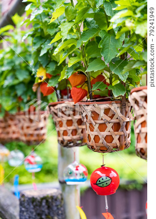 Hozuki 和風鈴裝飾 79241949