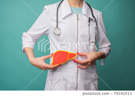 A young female doctor holds a model of a person's liver A young female doctor holds a model of a person's liver 79242013