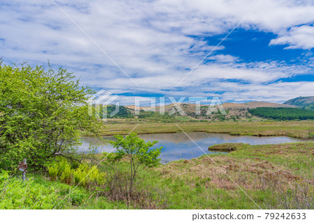 [Nagano Prefecture] Kirigamine / Yashimagahara Marsh 79242633