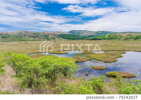 [Nagano Prefecture] Kirigamine / Yashimagahara Marsh 79242637