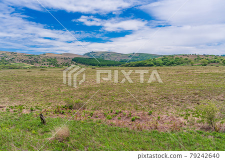 [Nagano Prefecture] Kirigamine / Yashimagahara Marsh 79242640