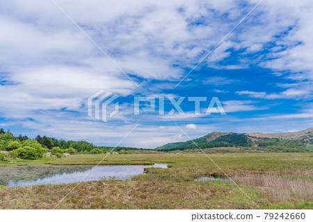 [Nagano Prefecture] Kirigamine / Yashimagahara Marsh 79242660
