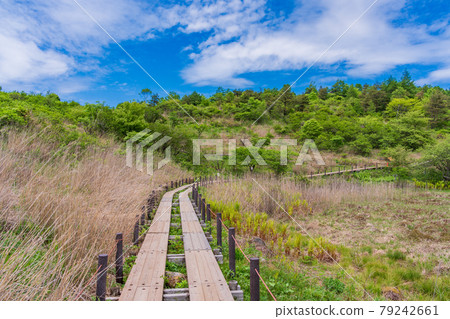 [Nagano Prefecture] Kirigamine / Yashimagahara Marsh 79242661