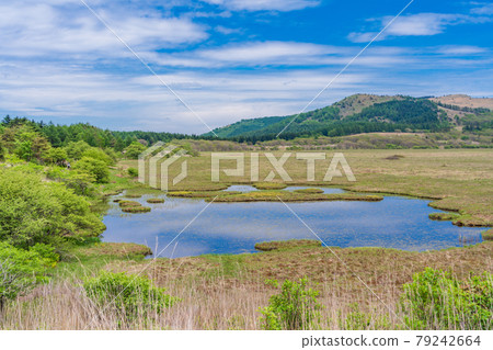 [Nagano Prefecture] Kirigamine / Yashimagahara Marsh 79242664