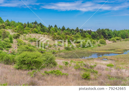 [Nagano Prefecture] Kirigamine / Yashimagahara Marsh 79242665