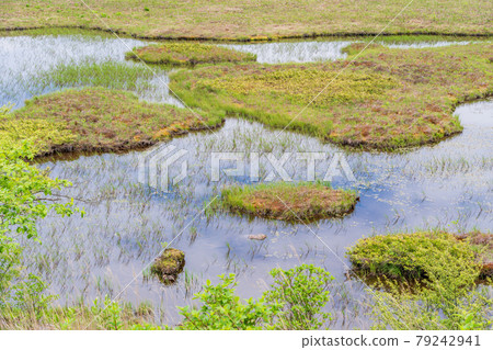 [Nagano Prefecture] Kirigamine / Yashimagahara Marsh Image 79242941