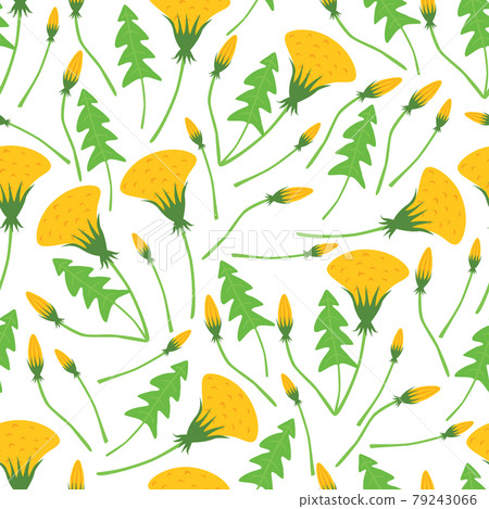 dandelion seamless pattern with white background dandelion seamless pattern with white background 79243066