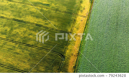 Aerial drone view flight over different agricultural fields sown Aerial drone view flight over different agricultural fields sown 79243628