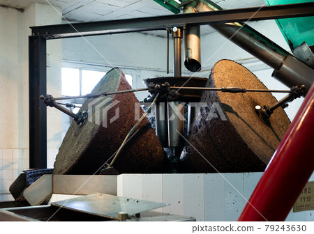 Grinding olives in crusher machine Grinding olives in crusher machine 79243630