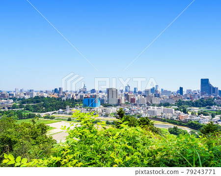 Sendai City View 79243771