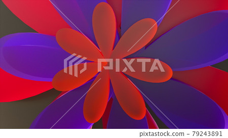 Glossy blooming flower 79243891