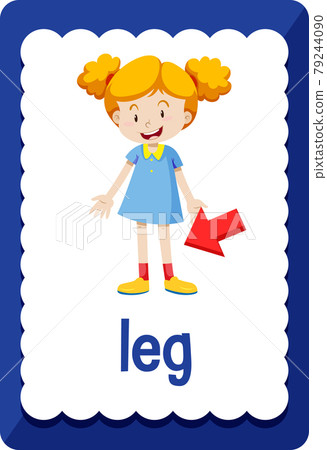 Vocabulary flashcard with word Leg 79244090