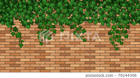 Ivy on brick wall. Green ivy leaves climbing on brown brick wall of building,  house or fence. Summer foliage overgrown, garden liana and branches. Seamless repeat pattern. Texture for background. 79244306