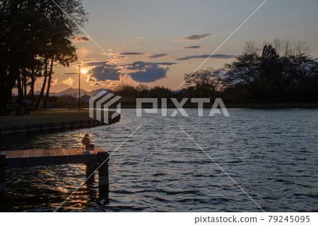 Sunset / Oike Park (Yabuki Town, Fukushima Prefecture) 79245095