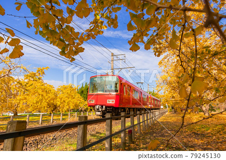 秋高氣爽、銀杏林立、名鐵列車<愛知縣稻澤市> 79245130