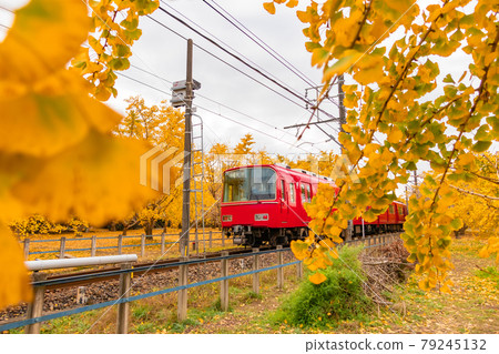 秋高氣爽、銀杏林立、名鐵列車<愛知縣稻澤市> 79245132