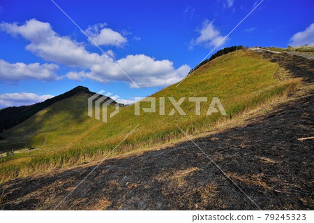 前往龜山和兩個老闆的山路 79245323