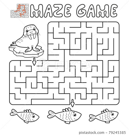 Maze puzzle game for children. Outline maze or labyrinth game with walrus. Maze puzzle game for children. Outline maze or labyrinth game with walrus. 79245385