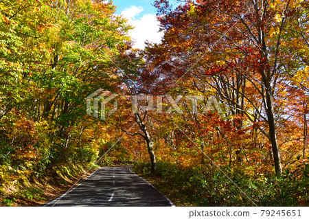 Autumn Route 102 Autumn Route 102 79245651