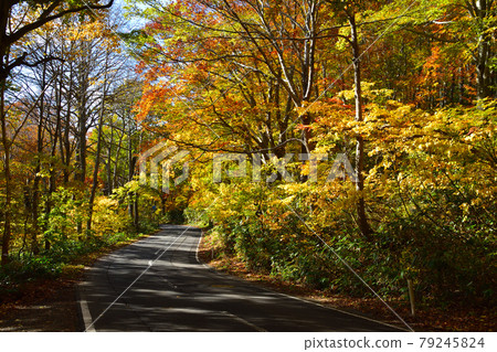 Autumn Route 102 79245824