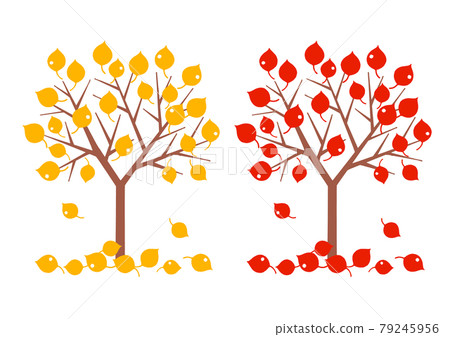 秋天的樹 79245956
